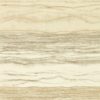 Metamorphic Wide Width 113101